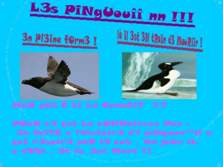 wwwwahhhh l3 fou rir33 !
